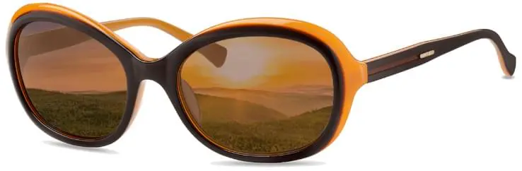Orange Brille mit reflektierenden Gläsern, in denen sich eine grüne Wiesenlandschaft spiegelt